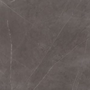 Maximum Marmi Stone Grey (Fiandre) - Face 1
